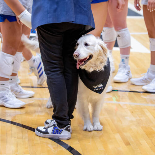 President Philomena V. Mantella and her dog, Lily, visit the women’s volleyball team during move-in week.